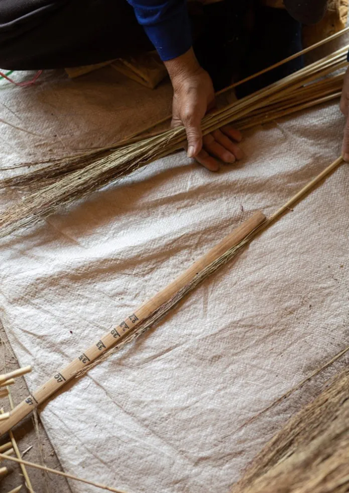 Sorghum Stripe Broom
